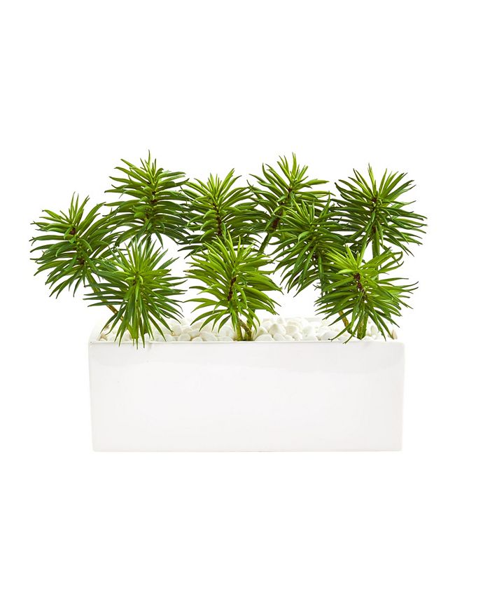 Nearly Natural - Spiky Succulent Garden Artificial Plant in White Ceramic Vase