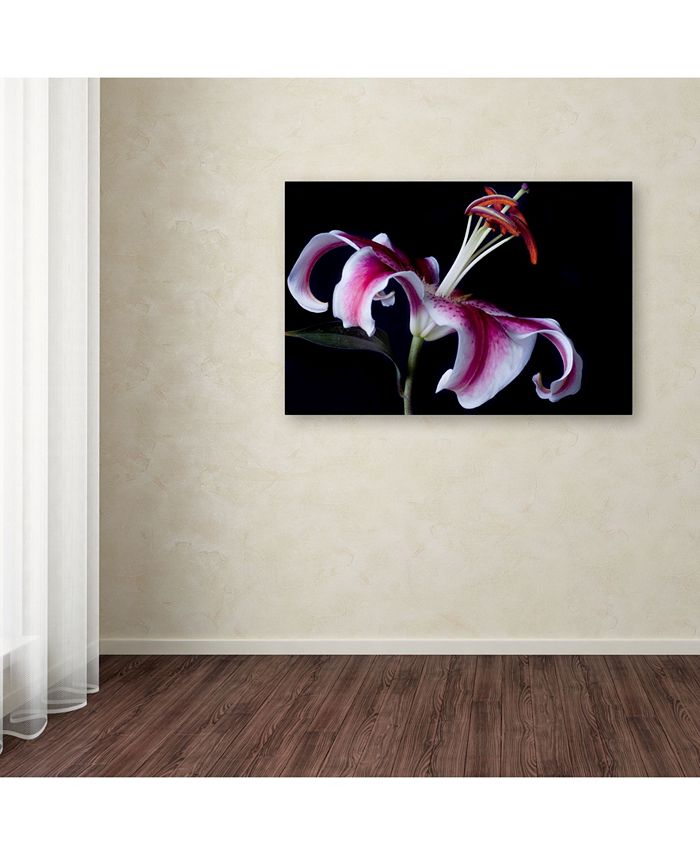 Trademark Global Lori Hutchison 'Fancy Pink Lily' Canvas Art - 19