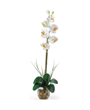 Nearly Natural Single Phalaenopsis Liquid Illusion Silk Flower Arrangement In Cream