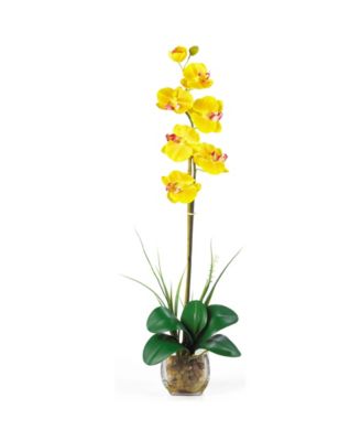 Nearly Natural - Single Phalaenopsis Liquid Illusion Silk Flower Arrangement