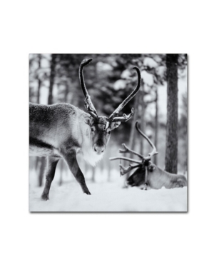 Trademark Global Hugh Evans 'reindeer' Canvas Art In Multi