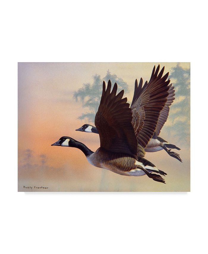Canada goose in best sale macy's