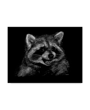 Trademark Global Geraldine Aikman 'racoon' Canvas Art In Multi