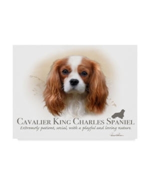 Trademark Global Howard Robinson 'cavalier King Charles Spaniel' Canvas Art In Multi