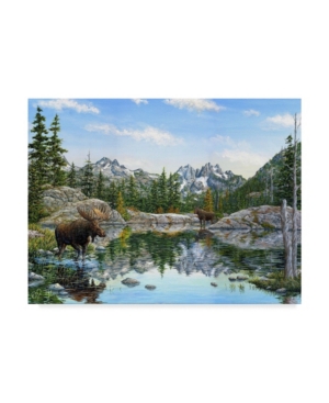 Trademark Global Jeff Tift 'moose' Canvas Art In Multi