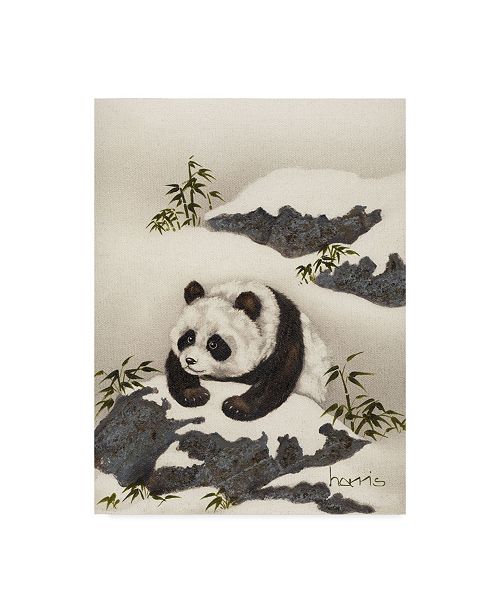 Trademark Global Peggy Harris Love Conquers All Canvas Art 35