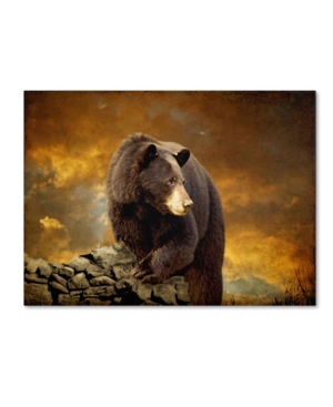Trademark Global Lois Bryan 'the Bear Went Over The Mountain' Canvas Art In Multi