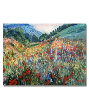 Trademark Global 'field Of Wild Flowers' Canvas Art In Multi