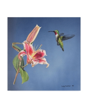 Trademark Global Rusty Frentner 'hummingbird And Lily' Canvas Art In Multi