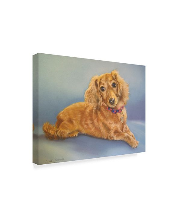 Trademark Global Janet Pidoux 'Sophie, Blue Background ...
