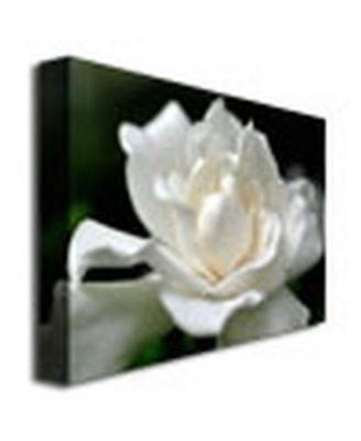 Kurt Shaffer 'Lovely Gardenia' Canvas Art - 32" x 24"