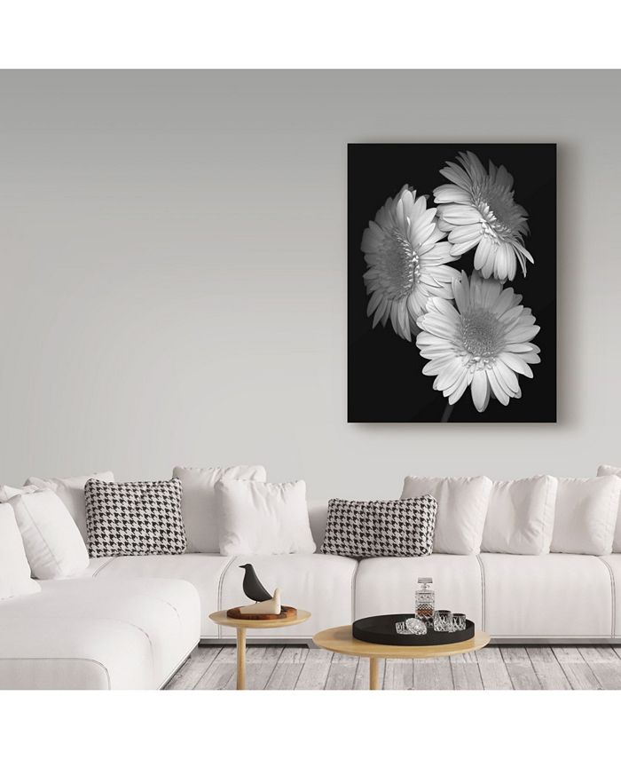 Trademark Global Susan S. Barmon 'Gerbera Daisy Black And White' Canvas ...