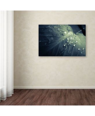 Trademark Global PIPA Fine Art 'Rain Dropping on Canna Leaf' Canvas Art - 22" x 32"
