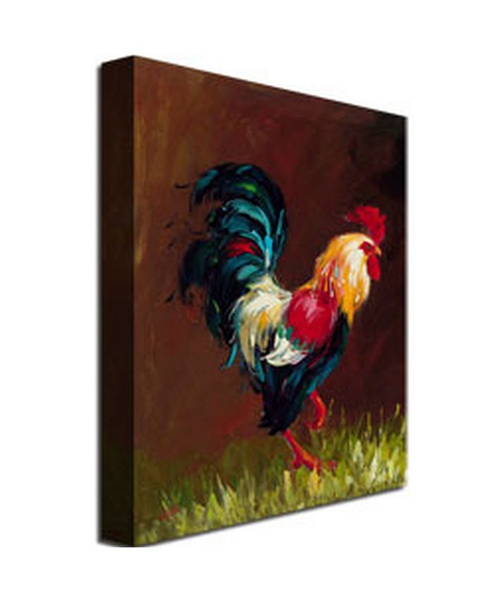 Trademark Global Rio 'Rooster' Canvas Art - 47