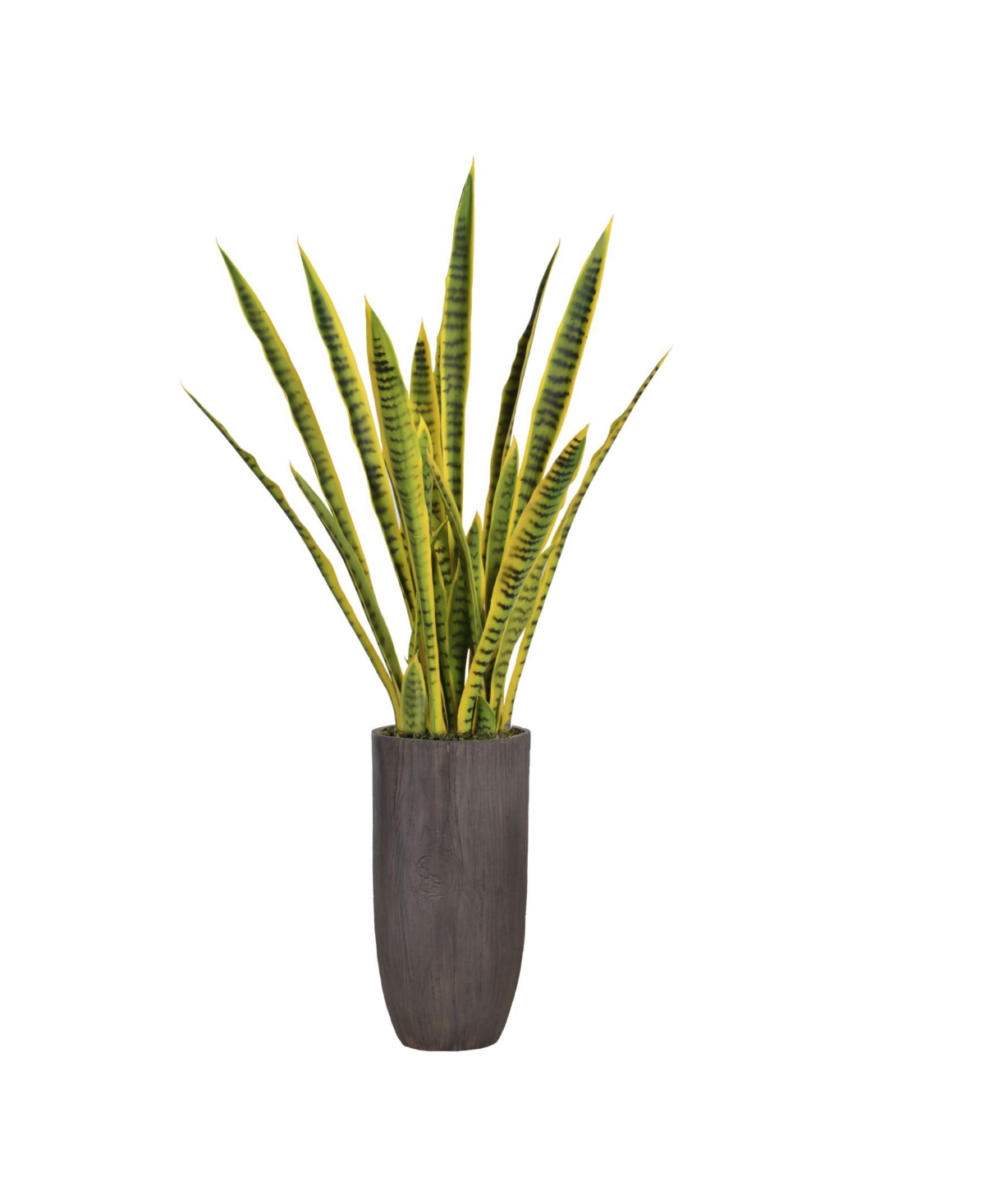 58.25" Tall Snake Plant Sansevieria Artificial Lifelike Faux in Resin Planter - Brown