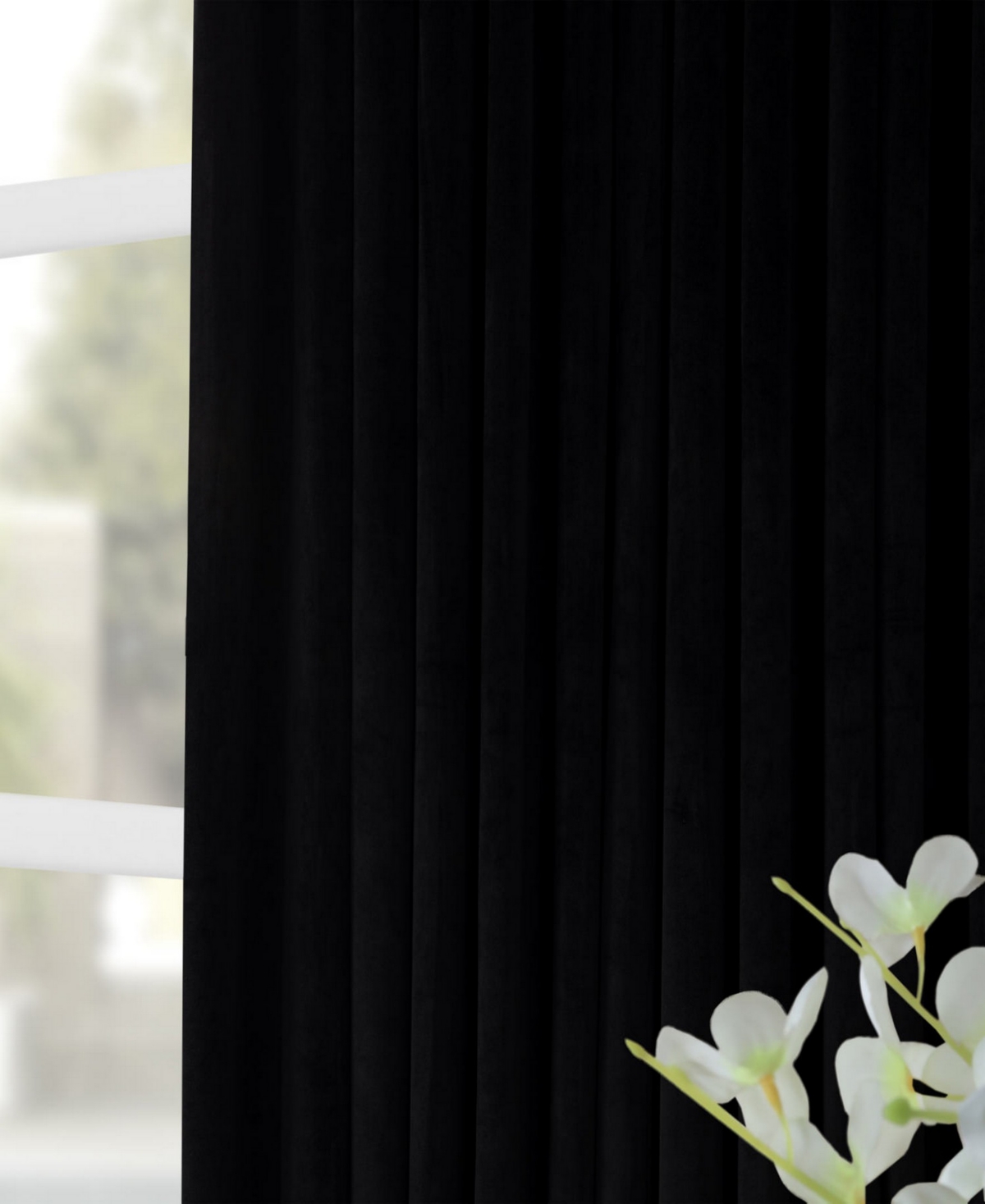 Half Price Drapes Black Signature Extra Wide Velvet Blackout Curtain In Black
