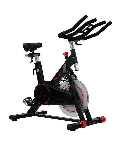 Sunny Health & Fitness Sunny Health and Fitness Magnetic ...