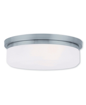 Livex Stratus 2-Light Ceiling Mount/ Wall Mount