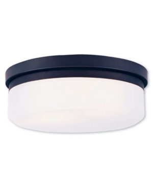 Livex Stratus 2-Light Ceiling Mount/ Wall Mount