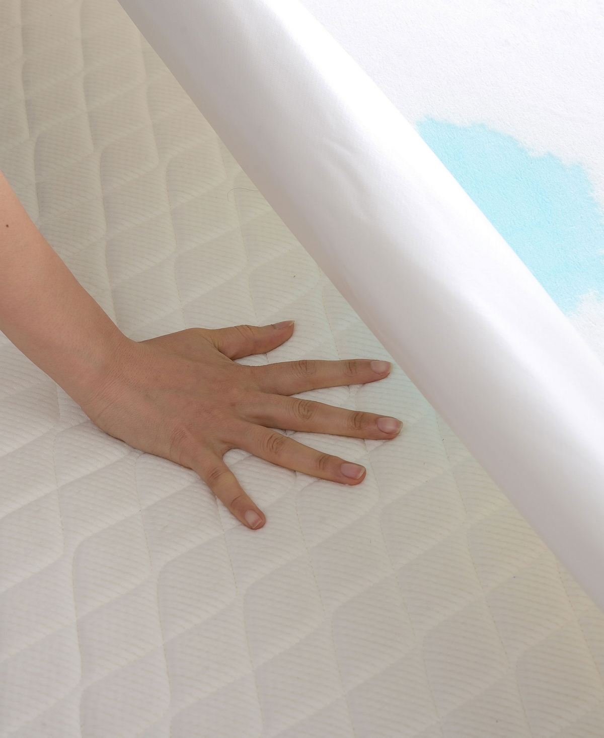 Cheer Velvet Plush Waterproof Mattress Protector