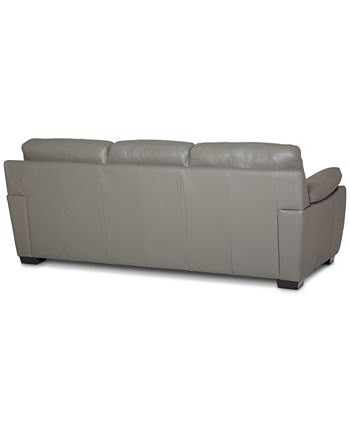 Lothan store leather sectional