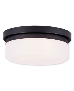 Livex Stratus 2-Light Ceiling Mount/ Wall Mount