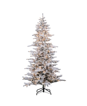 Sterling 7.5ft. Flocked Cambridge Fir Tree With 550 Clear Lights In Green