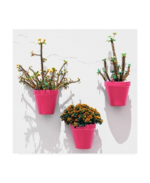 Philippe Hugonnard Made in Spain 3 Pink Pots Wall Canvas Art - 155