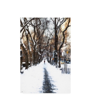 Trademark Global Philippe Hugonnard Snowy Road Central Park Canvas Art In Multi