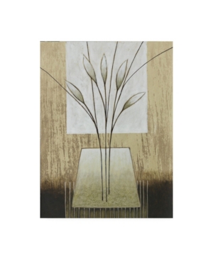 Trademark Global Pablo Esteban Tan And White Floral Abstract Canvas Art In Multi