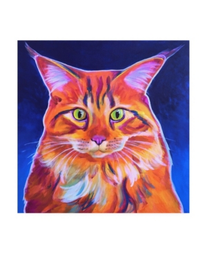 Trademark Global Dawgart Cosmo Pet Cat Canvas Art - 15.5" X 21" In Multi