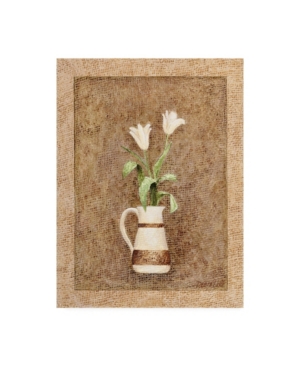 Trademark Global Debra Lake Flowers In A Vase Canvas Art In Multi