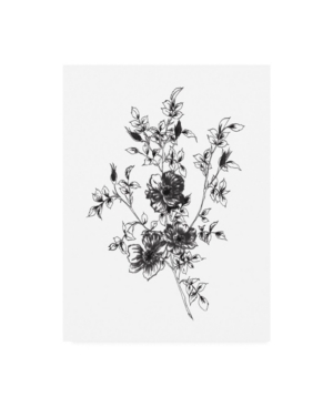 Trademark Global Wild Apple Portfolio Sketchbook Flowers On White Ii Canvas Art In Multi