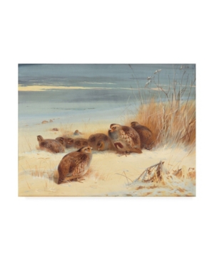 Trademark Global Archibald Thorburn Partridge On A Frosty Morning, 1903 Canvas Art In Multi
