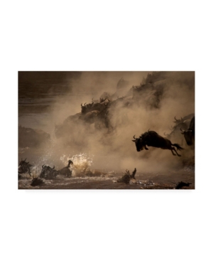 Trademark Global Adrian Wray The Great Wildebeest Migration Canvas Art In Multi