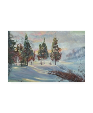 David Lloyd Glover Snowy Winter Dawn Canvas Art - 20