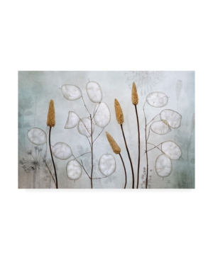 Trademark Global Mandy Disher Lunaria Canvas Art In Multi