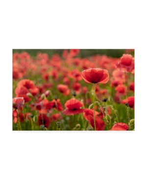 Kristin Gray The Light Behind Canvas Art - 20