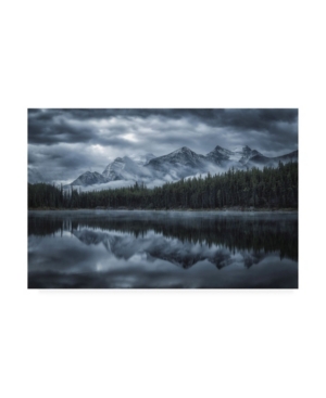 Shop Trademark Global Michael Zheng Cold Mountains Canvas Art In Multi