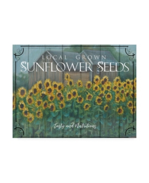 Trademark Global Marnie Bourque Sunflower Seeds Canvas Art In Multi
