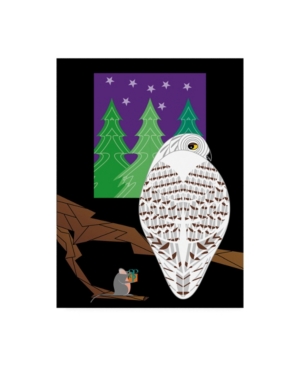 Trademark Global Marie Sansone Snowy Owl On The Right Canvas Art In Multi