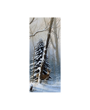 Michael Budden Winter Light Buck Canvas Art - 20