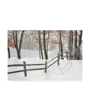 Monte Nagler Winter Fence and Shadow Farmington Hills Michigan Canvas Art - 20