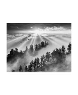 Trademark Global Monte Nagler Smoky Mountain Sunrise Tennessee Black And White Canvas Art In Multi