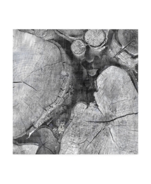 John Butler Logging Light I Canvas Art - 15