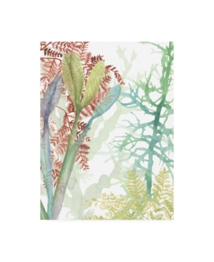 Trademark Global Naomi Mccavitt Woven Sea Plants Ii Canvas Art In Multi
