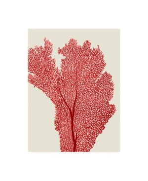 Trademark Global Fab Funky Red Corals 2 E Canvas Art In Multi