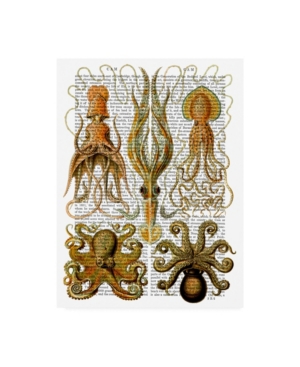 Trademark Global Fab Funky Octopus And Squid Canvas Art In Multi