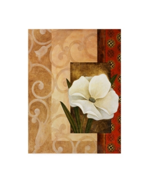Trademark Global Pablo Esteban White Floral Beige 1 Canvas Art In Multi