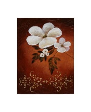Trademark Global Pablo Esteban White Flower Shadows 2 Canvas Art In Multi